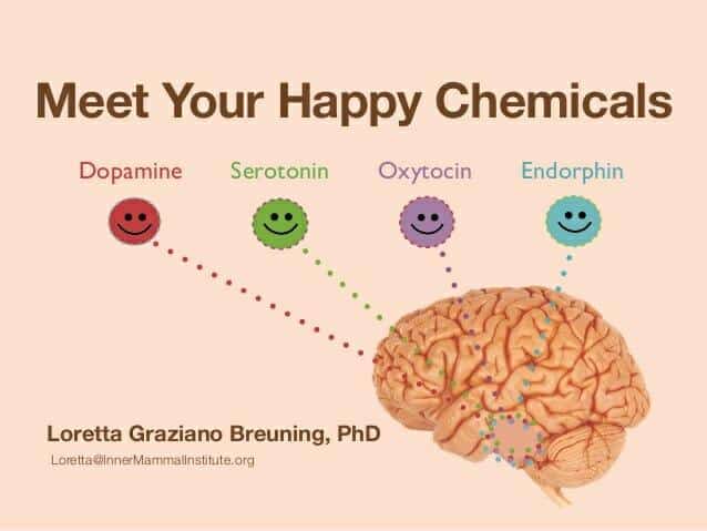 Magische Botenstoffe – die Glückshormone Serotonin und Endorphin