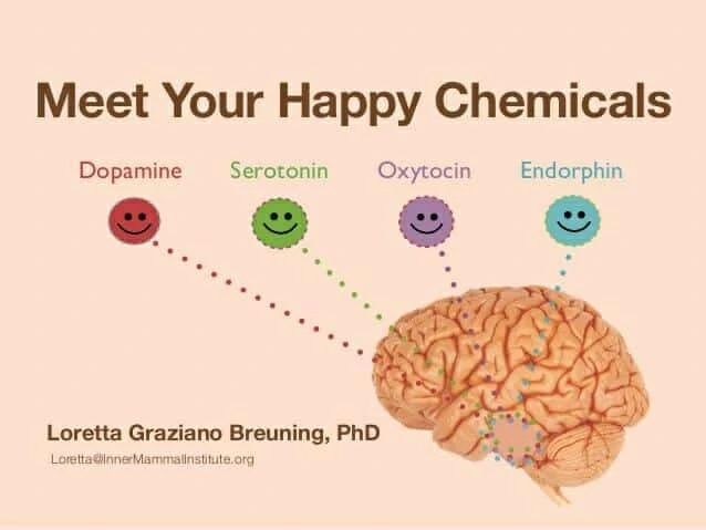 Magische Botenstoffe – die Glückshormone Serotonin und Endorphin
