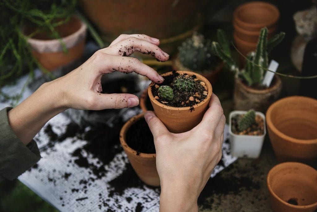 Im Garten arbeiten