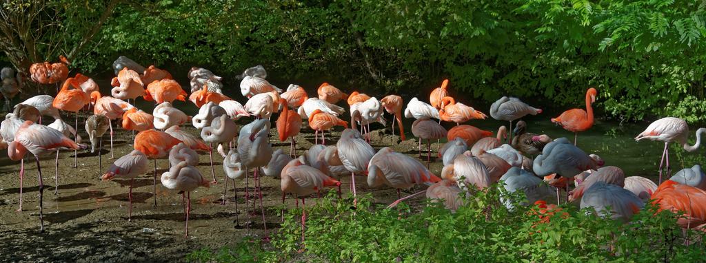 Tierpark Hellabrunn