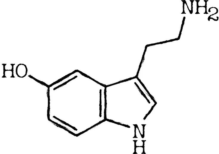 Wie kann ich den Serotonin Anteil erhöhen?